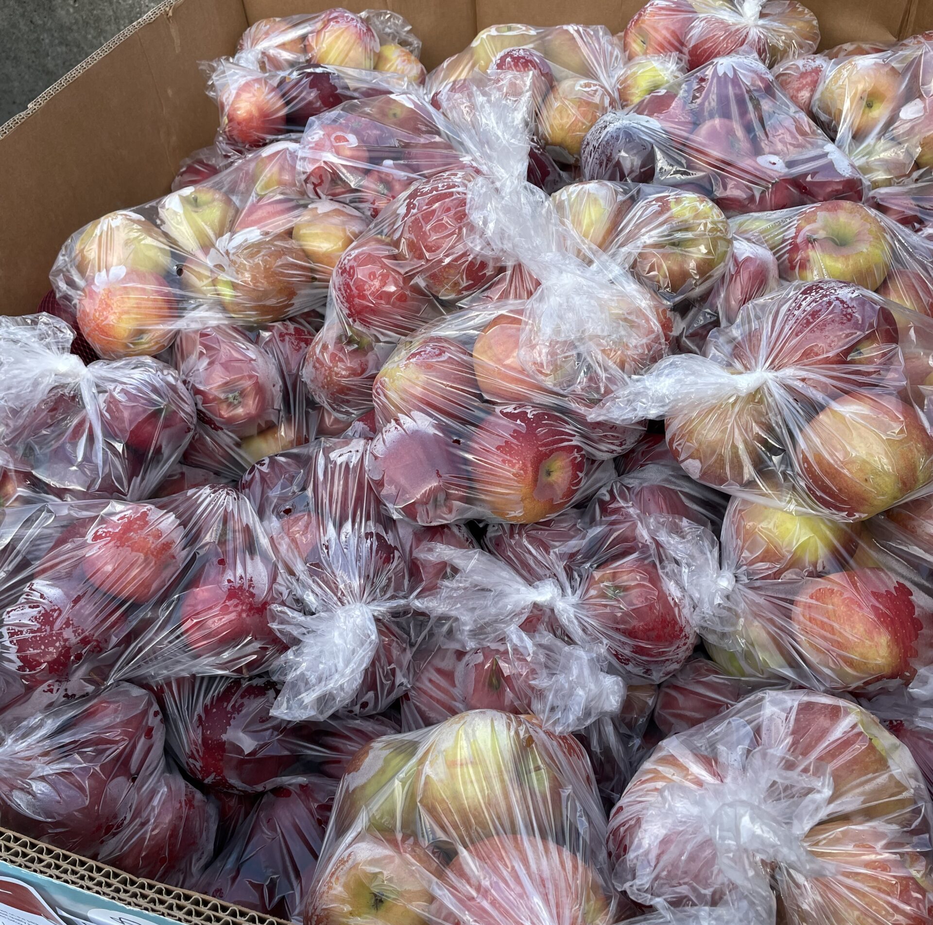 apples from food pantry distribution